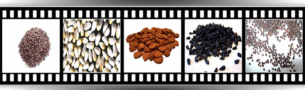 Video Header